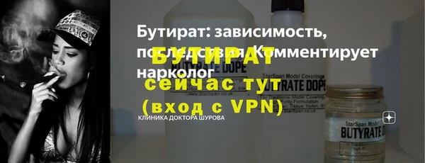 индика Богданович