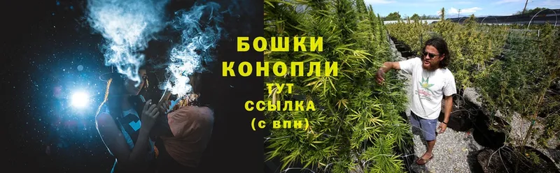 Конопля Bruce Banner  Волчанск 